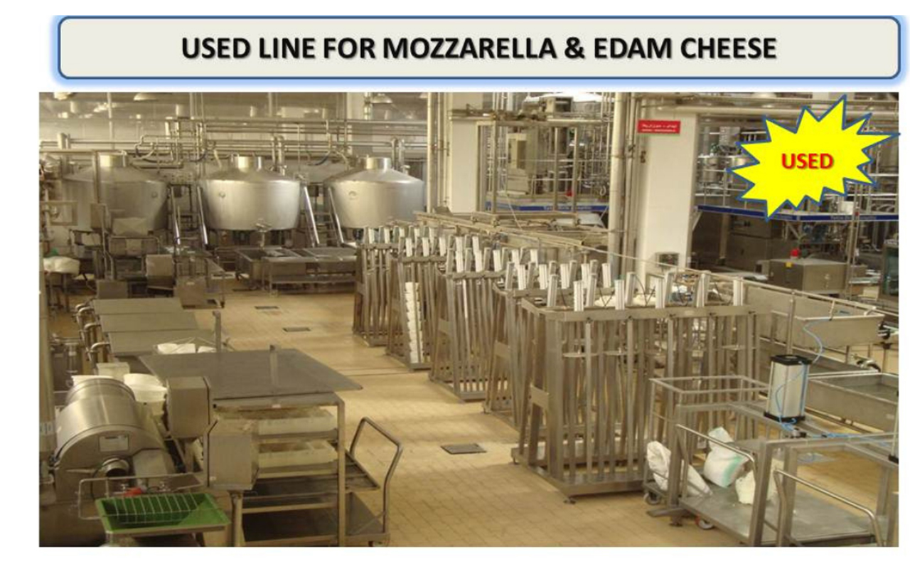Used Line for Mozzarella & Edam semi-hard cheese