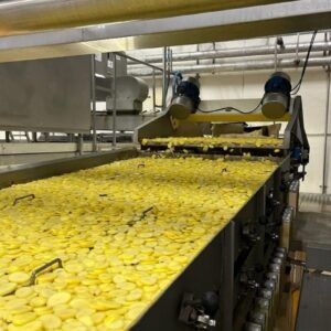 Production Line for French Fries 5 tons per hour