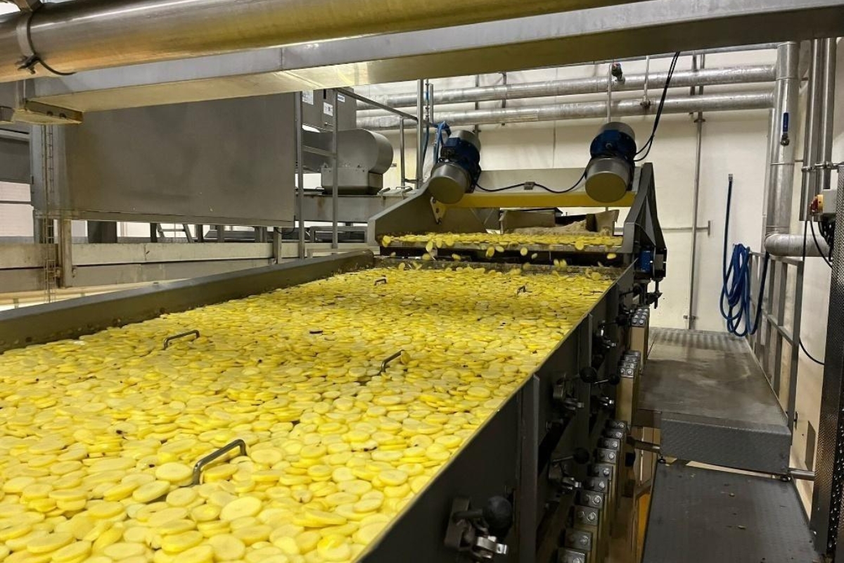 Production Line for French Fries 5 tons per hour